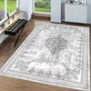 Washable Printed Carpet RVGHOME0048-SD1127