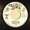 7inch Record T.O.K. - Tempting Me NONE Zarek 2005 Jamaica Reggae, Ska & Dub Used