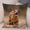 Mini Dachshund Cushion Cover Decor Pet Animal Pillowcase Sofa Home Children's Room Pillowcase