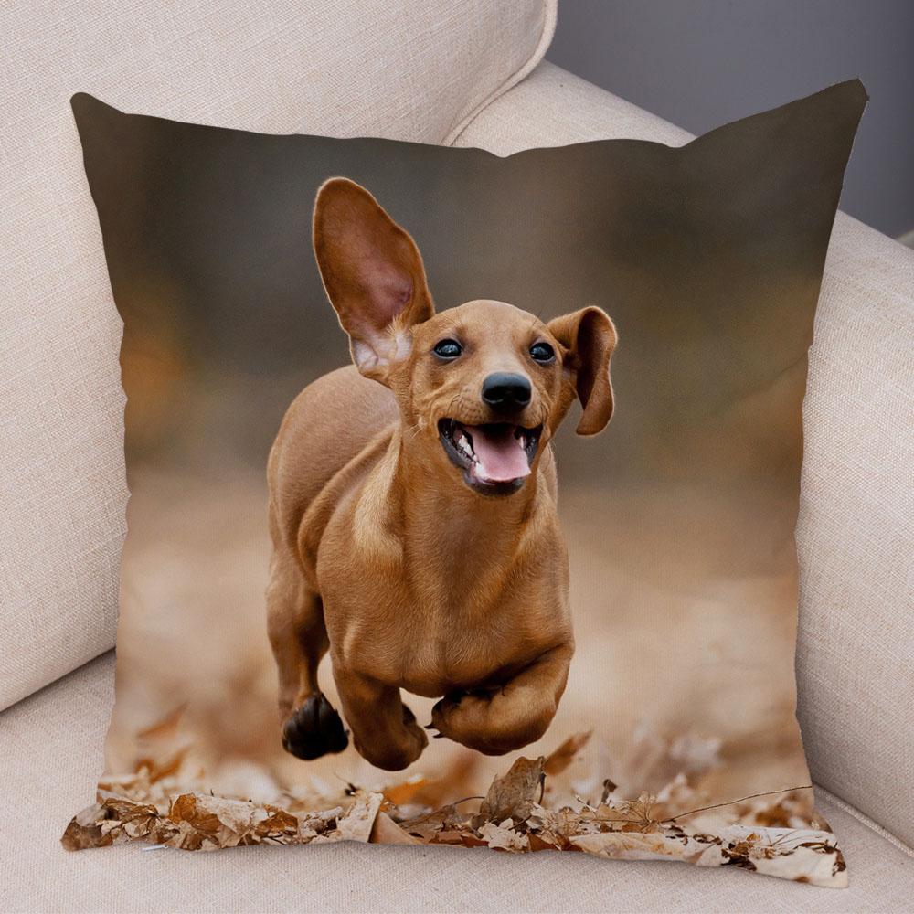 Mini Dachshund Cushion Cover Decor Pet Animal Pillowcase Sofa Home Children's Room Pillowcase