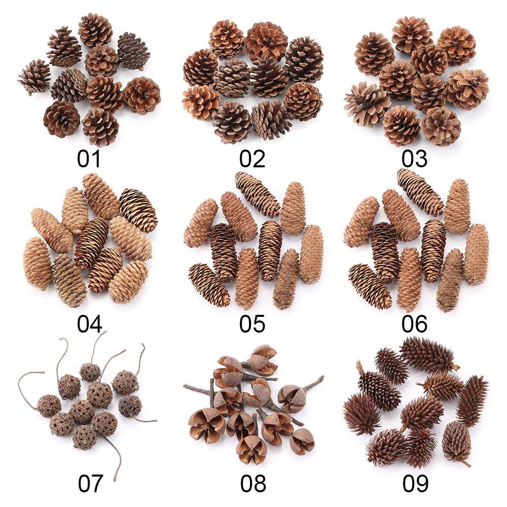 10Pcs Party Christmas Photo Props Dried Plants Natural Pine Cones Pinecone Xmas Tree Ornaments