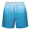 RIPT Essentials Boys Dip Dye Ultra Light Swim Shorts