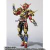 S.H.Figuarts Kamen Rider Evol (Phase 1.2.3. Set) Premium Bandai