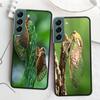 Красивый чехол для телефона Ming cicada shelling для Samsung A02 A03 A03S A04 A04S Galaxy A55 A35 A25 A15 S10 Lite A9 A8 A7 A6 Plus A90