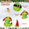 Yousheng Christmas Goose Outfit Santa Claus Goose Costume Xmas Hat And Coat with Fuzzy Green Edge for Winter Holiday 23 Inch Garden Goose Statue