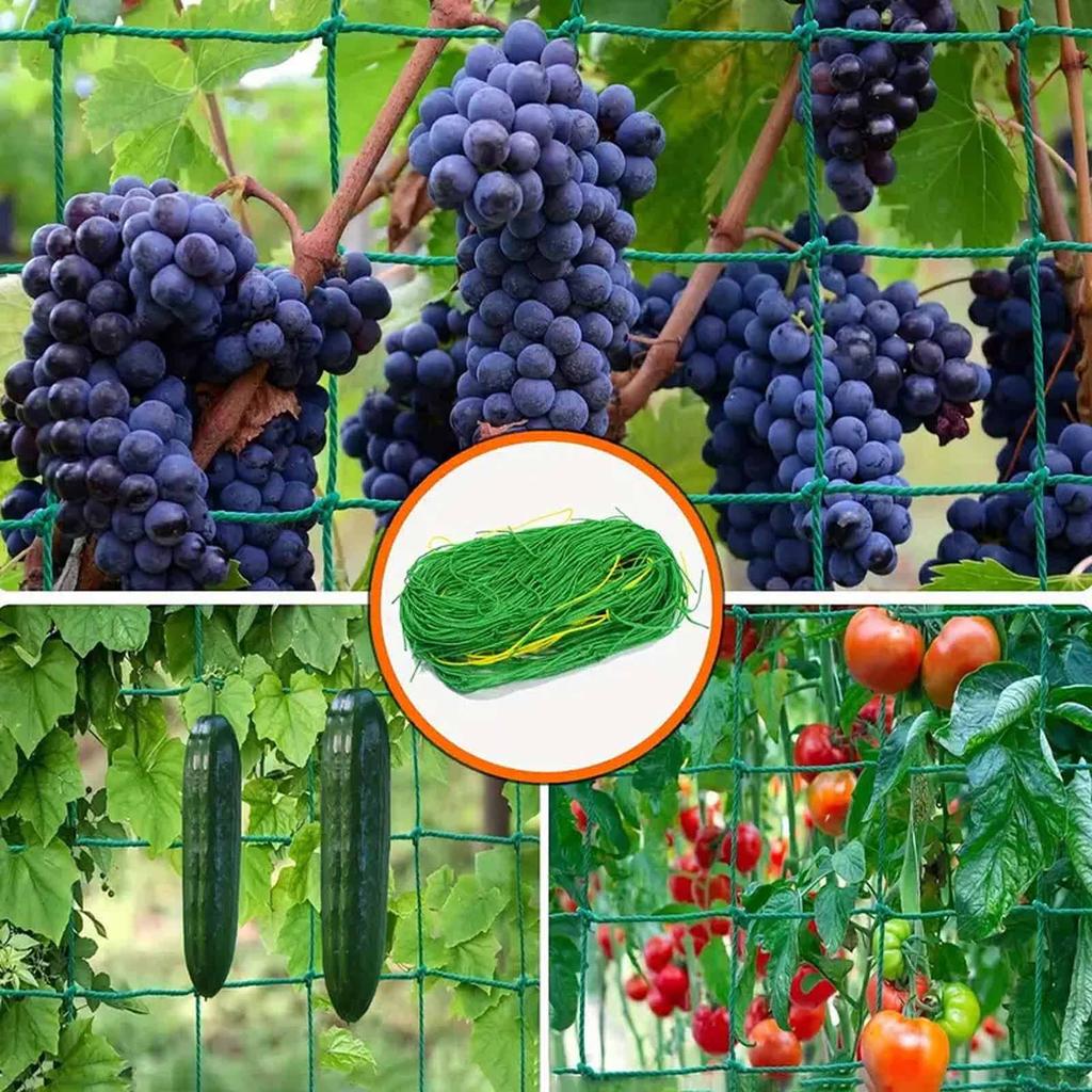 Fruit and Vegetable Climbing Net – Garden Support Mesh for Plants, Flowers, and Morning , Branch Support , Outdoor Plant Training Tool