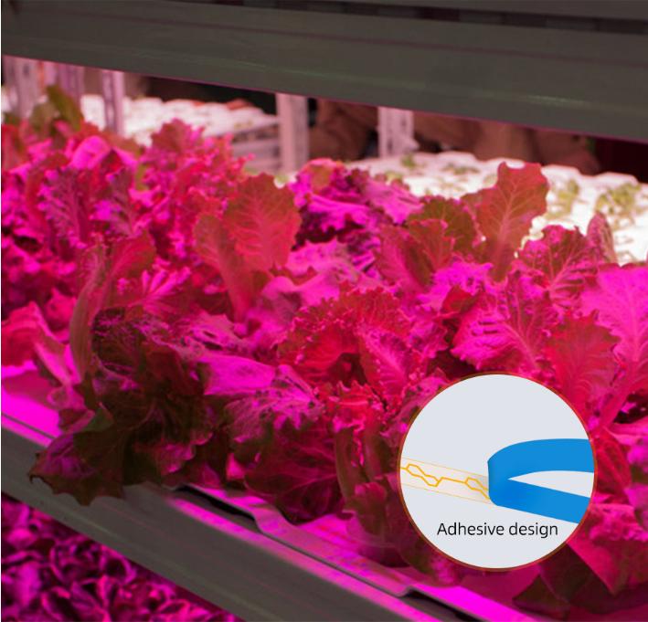 Светодиодный светильник для выращивания растений, полный спектр, USB-светильник для выращивания растений, 0,5 м, 1 м, 2 м, 2835 чип, светодиодная фитолампа для растений, цветов, теплица, гидропоника