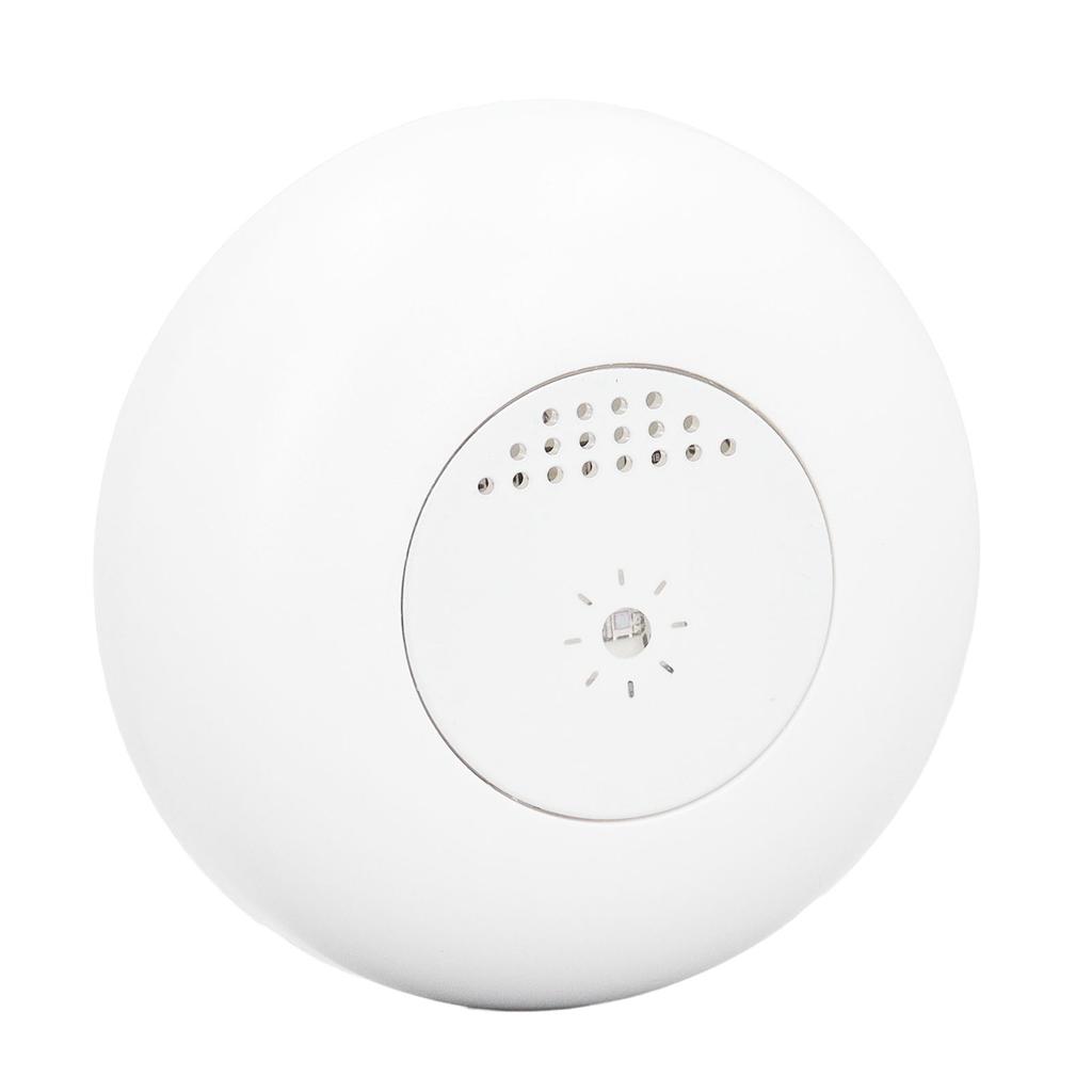 Light Sensor High Sensitivity APP Remote Control Real Time Alert Luminosity Detection Sensor for Hom