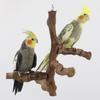 Wood Bird Perch Stand Activity Center Parrot Perch Platform Wood Stand Toy for Conures Cockatiels Parakeets Macaws Love Birds