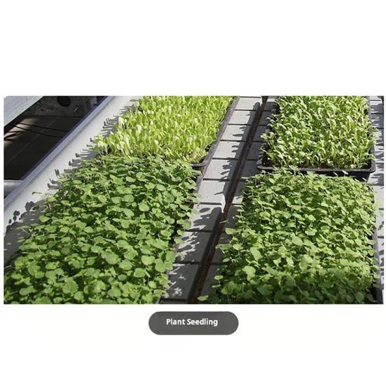 Грелка IPX7 Водонепроницаемый быстрый нагрев Износостойкий огнестойкий нагревательный коврик для прорастания комнатных растений