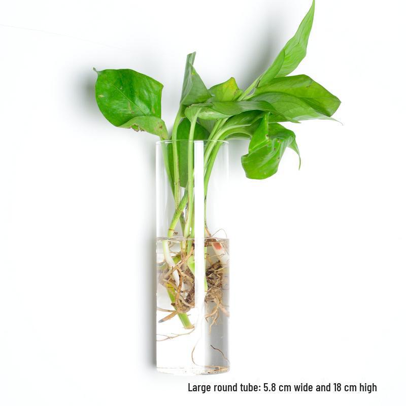 Ваза из выдувного стекла ручной работы для украшения стен и цветочных композиций