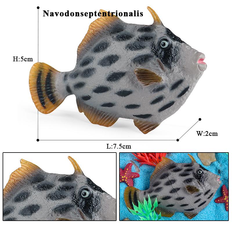 Oenux Морские животные Коралл Осьминог Наутилоидея Краб Морская звезда Океан Модель Фигурки Образовательная Коллекция Игрушка Детский Подарок