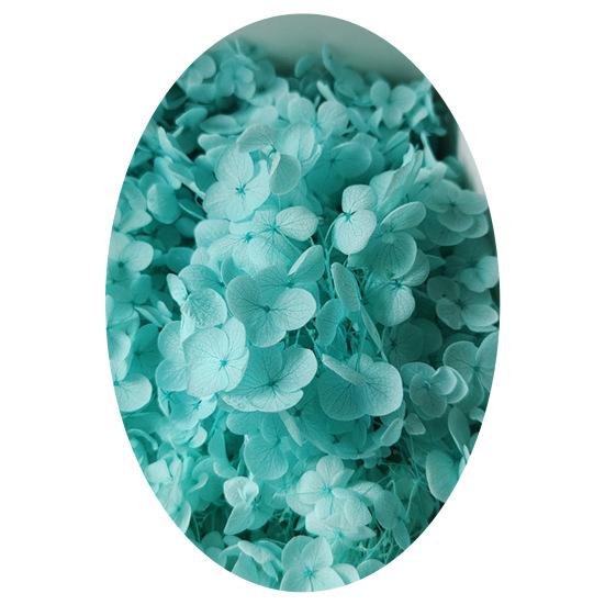 1 коробка, головки сушеных цветов, цветные, изысканные, 21 стиль, отличные привлекательные цветы гортензии, домашний декор