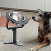 Adjustable Height Pet Food Bowls Single Metal Stand Feeder Bowl Holder Elevated Dog Bowl  Water