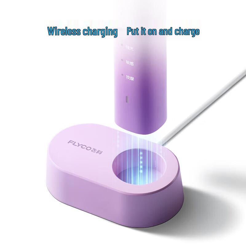 FLYCO FT7105 Sonic Electric Toothbrush