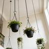 Heavy Duty Hanging Chains With Hooks For Plants Flowers Pot Basket Replacement Indoor Outdoor Metal Chains Hangers Wholesale
