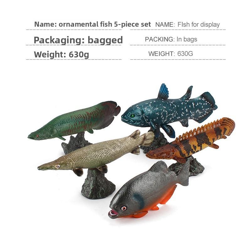 Piranha Marine Life Fish Model Pvc Educational Display With Base For Science Enthusiasts