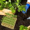 Рассада Grow Plug Sponge Block Starter Минеральная вата Посадка Grow Cubes Гидропоника Черенки Размножение садовых растений Grow Supply