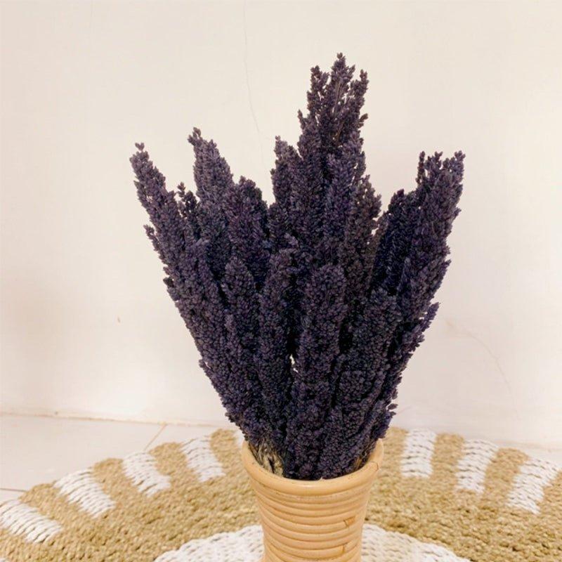 Dried Cantal Grass Bunch Black 6 Pieces