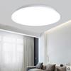 30cm Round LED Ceiling Light for Corridors, Bedrooms, Living Rooms, and Rental Spaces