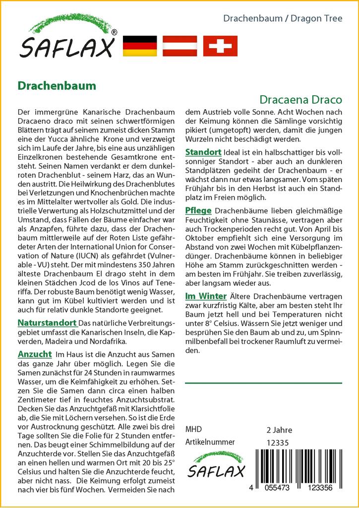 SAFLAX Драконово дерево - 5 семян - Dracaena Draco