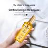 Schwarzkopf Gold Revitalizing Instant Smooth Hair Oil Duo Pack