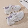 2025 New Spring and Autumn Sports Versatile Casual Shoes Mesh Platform Dad Shoes Women's Fashion Running Sneakers