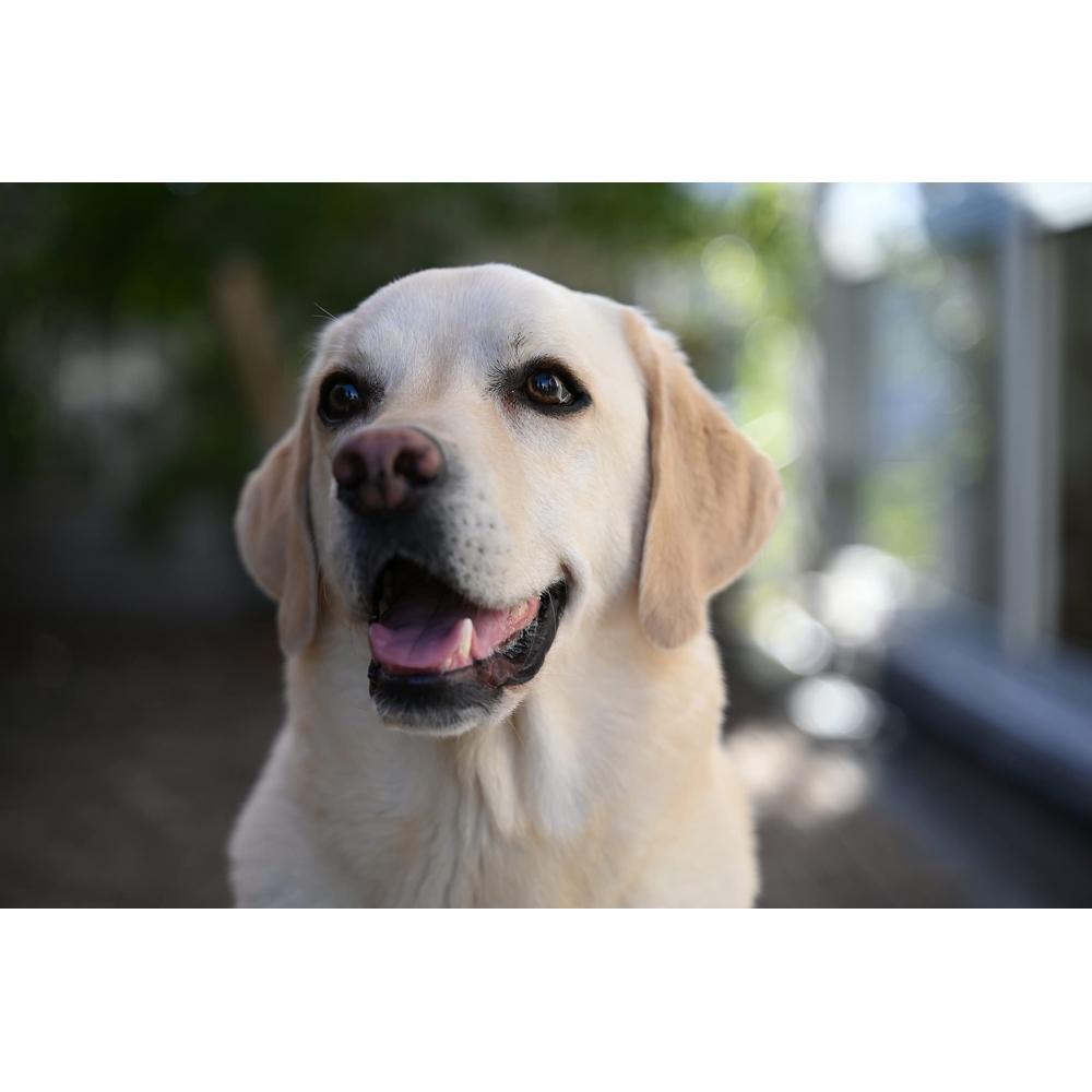 Nikon NIKKOR Z 28-75mm f2.8 Nikon беззеркальный однообъективный объектив