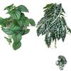 26см Бегония Лист Павлиньего Черепаха Спина Дом Балкон Настенный Подвесной Садовый Декор Искусственные Растения Лиана Зеленая Трава В Горшке