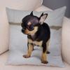 Cute Pet Animal Pillowcase Decorative Cute Puppy Chihuahua Pillowcase Soft Plush Cushion Cover for Car Sofa Home 45x45cm