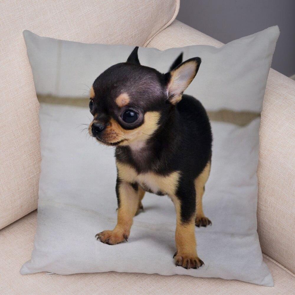 Cute Pet Animal Pillowcase Decorative Cute Puppy Chihuahua Pillowcase Soft Plush Cushion Cover for Car Sofa Home 45x45cm