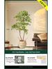 Nandina Luxury Floor-Standing Indoor/Outdoor Bonsai Tree Ornament