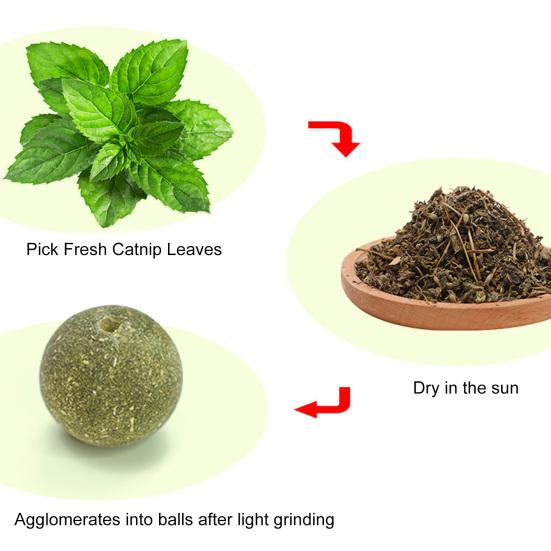 Cat Licking Toy Rotating Wall-mounted with Stickers Natural Materials Self-adhesive Increase Appetite Teeth