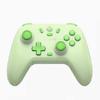 GameSir Nova Lite Wireless Gamepad Controller with Bluetooth, Dongle, Wired for Switch, Android, IOS, PC & Steam Games(Green)