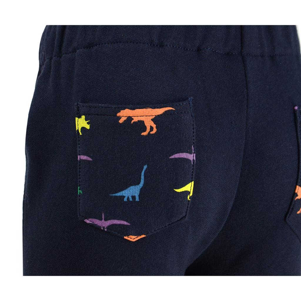 HyPERFORMANCE Childrens/Kids Dinosaur Jodhpurs