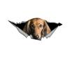 Car Stickers for Red Long-Haired Dachshund Hidden In Holes, Waterproof Irregularly Shaped Car Decoration Decals