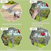 Anti Bird Repellent Tape Holographic Tape for Birds Anti Bird Tape 80m x 2.4cm Double Sided Anti Bird Repellent Tape for Birds Perfect Deterrent Again