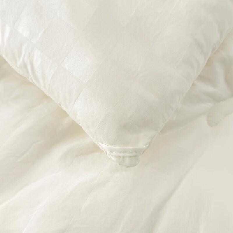 Nan Fang Sheng Huo Silk Protein Jacquard Winter Quilt