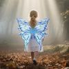 Fluttering Wings Fairy Costume Wing Set Lightweight Dress Up Wings Set  Cosplay Costumes