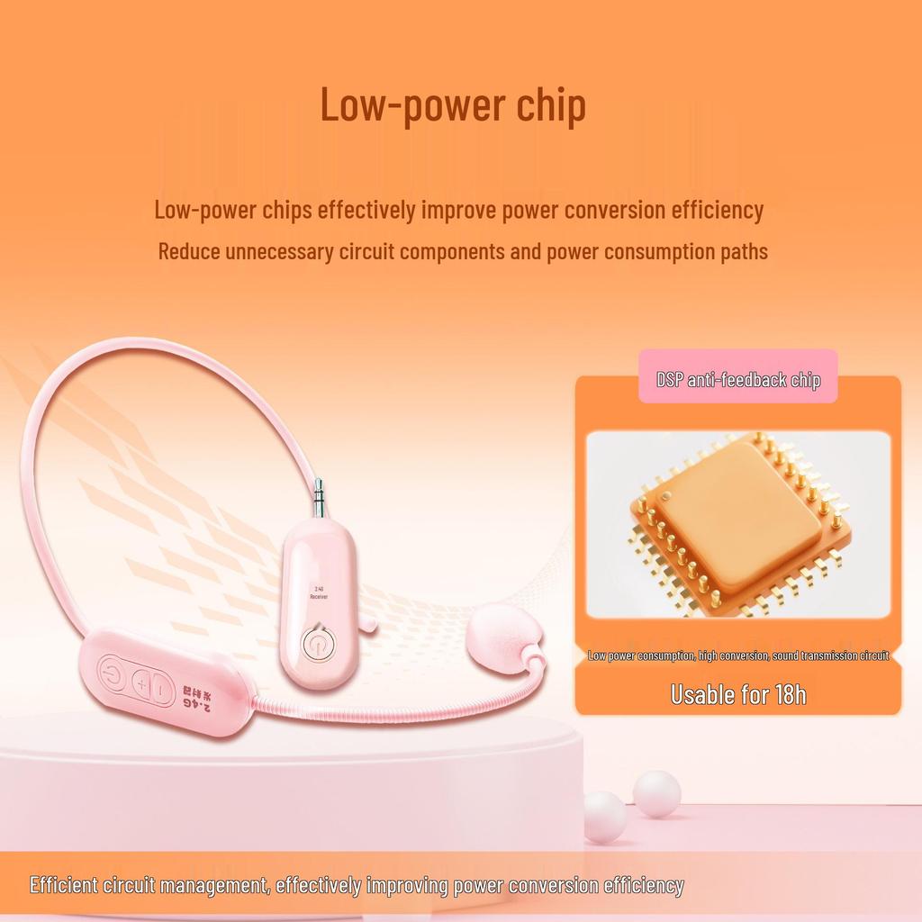 Universal Wireless Handheld Microphone with Small Bee Amplifier and Outdoor Speaker for Teachers