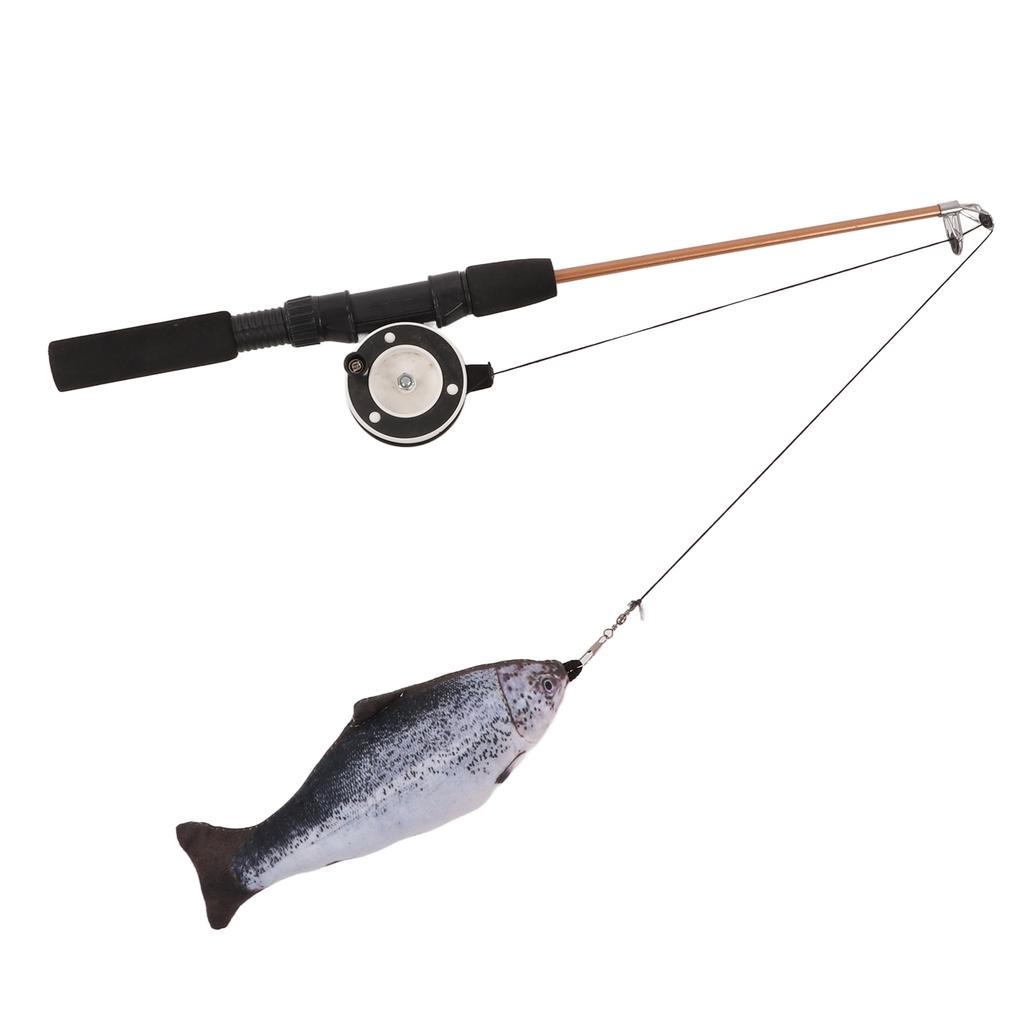 Retractable Cat Teaser Wand Toy Interactive Fishing Rod with Simulation Fish for Cats(Salmon