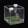 Коробка для разведения рептилий, акриловая коробка для террариума с насекомыми, пауком, ящерицей, скорпионом Enti's
