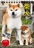 [S3] 2025 Shiba Inu Calendar Tabletop Writing Type [B6 Vertical] (Nagaoka Shoten Calendar)