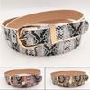 Small Snake Pattern Series Women's Belt Simple and Versatile Jeans Decorative Belt