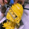 Pineapple Peeler Tool Stainless Steel Pineapple Slicer And Corer Ergonomic Handle Pineapple Eye Remover Portable Fruit Corer for Kitchen