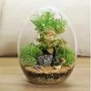 Exquisite Succulent Glass Vase Transparent Micro Landscape Moss Bottle  Hydroponic