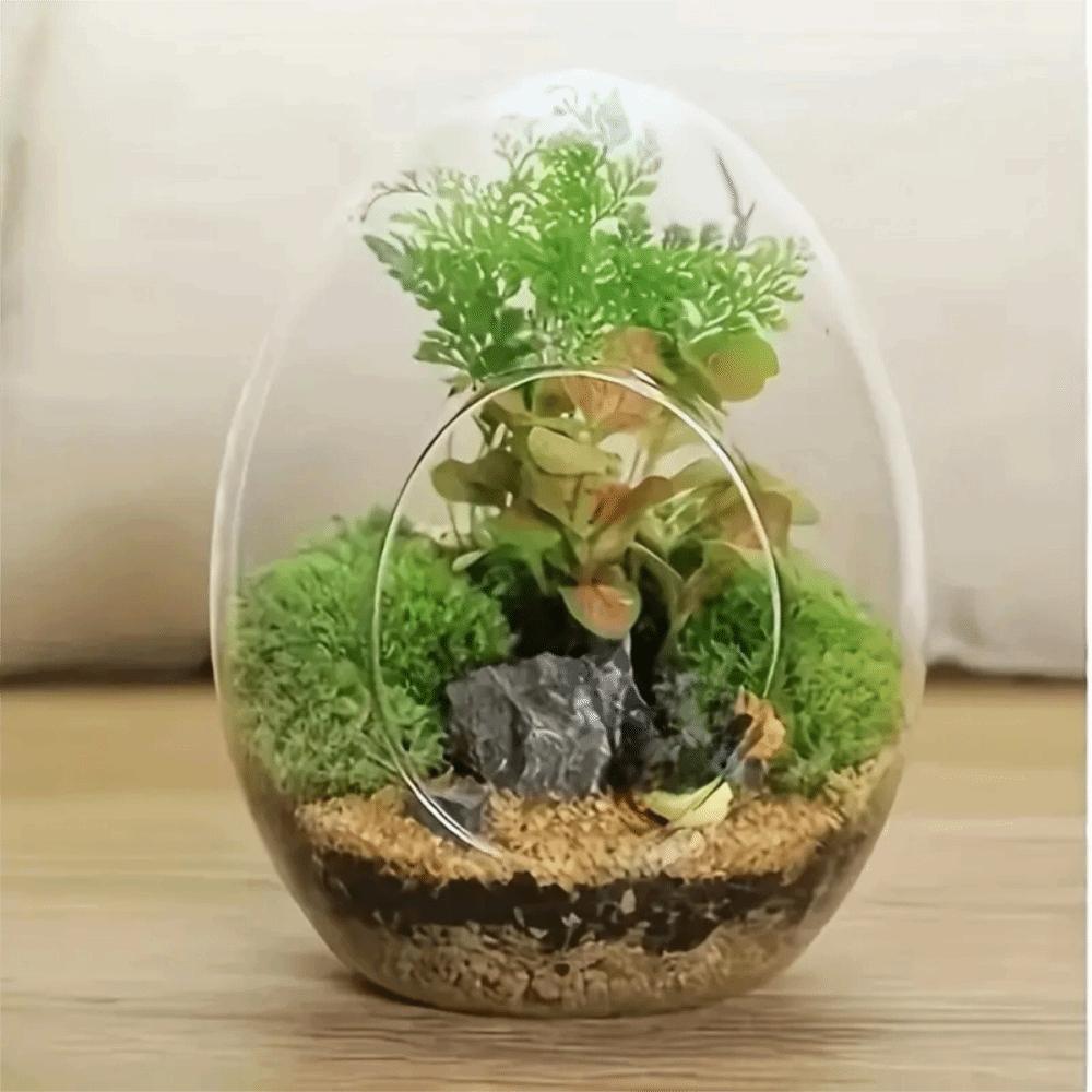 Exquisite Succulent Glass Vase Transparent Micro Landscape Moss Bottle Hydroponic