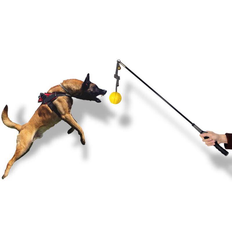 Professional Dog Training Pole & Bite Tug Set