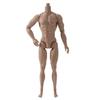 White/Normal/Tan 1/6 Male Doll Strong Man Multi-Joints Male Model Movable 13 Joint Action Figure Body Collections