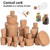 5/100pc Tops DIA 8mm To 58mm Wooden Cork Lab Test Tube Stopper Kettle Pudding Bottle Cork Cap Burette Tube Wood Plug Cork Stopper